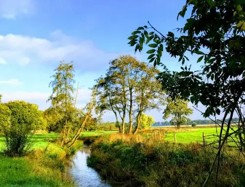 VELDONDERZOEK IN KADER VAN GRENSOVERSCHRIJDEND EUROPEES PROJECT