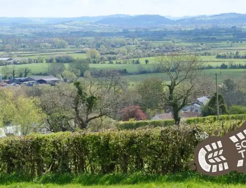 New mobile app launch gets Somerset walking and talking about climate change